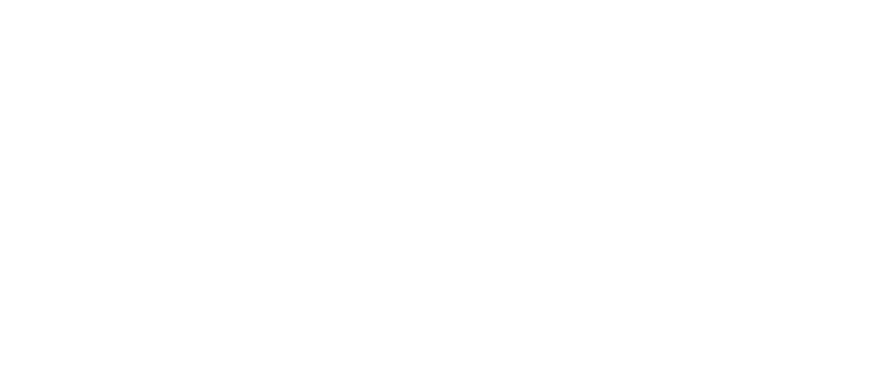 Adler International sp. z o.o.